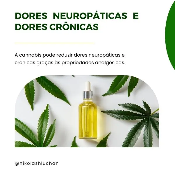 Dr. Nikolas hluchan cannabis medicinal