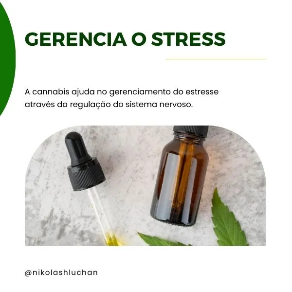 Dr. Nikolas hluchan cannabis medicinal